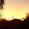 daybreak77